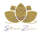 logo staizen